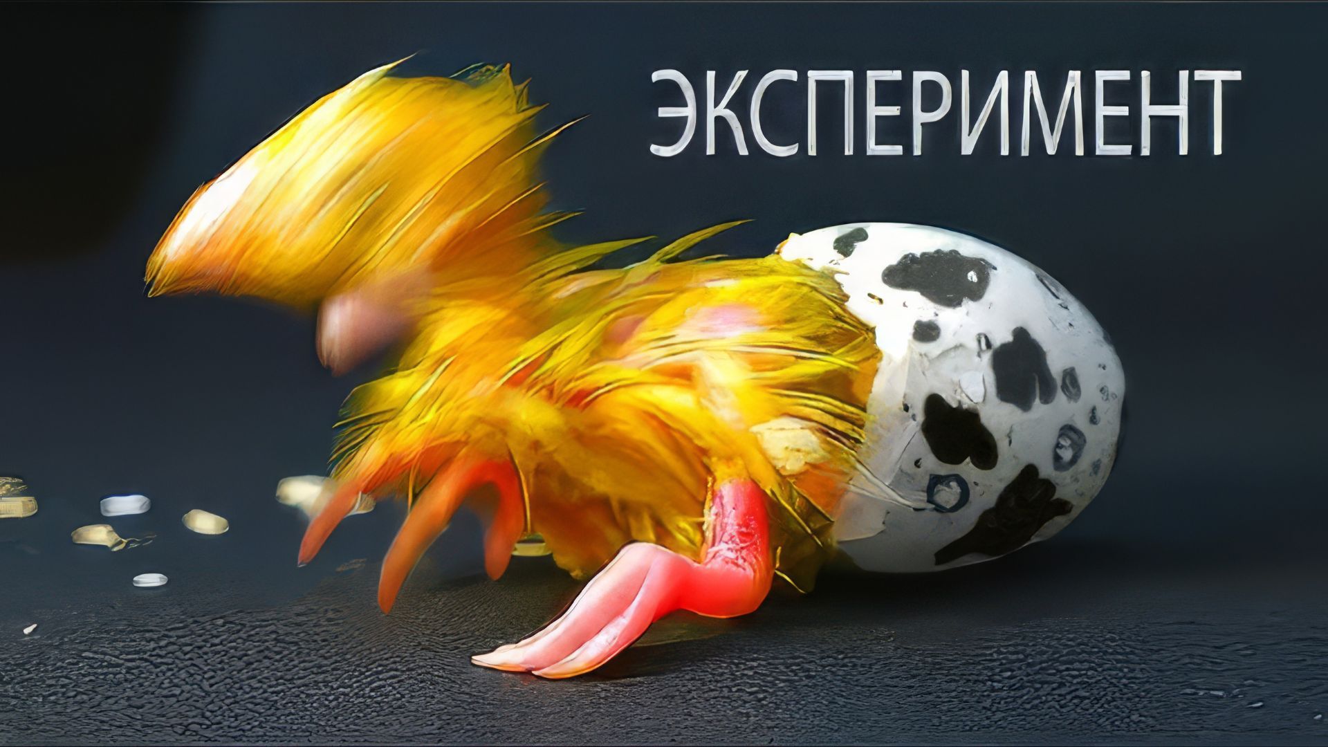 ЭКСПЕРИМЕНТ. ЧТО ВЫЛУПИЛОСЬ ИЗ ЯЙЦА? смотреть онлайн