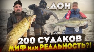 Река ДОН в НОЯБРЕ: УЛОВЫ, которые УДИВЛЯЮТ! Рыбалка на спиннинг и незабываемые моменты