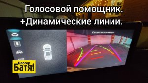 Голосовой помощник. +Динамические линии.
