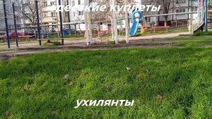 Ухилянты! Одесские куплеты. Odessa song @supergoshaodessa