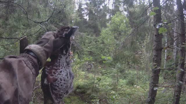 Охота на рябчика смотреть онлайн