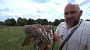 155_Главный сокольничий Москвы. Вместо урока истории.