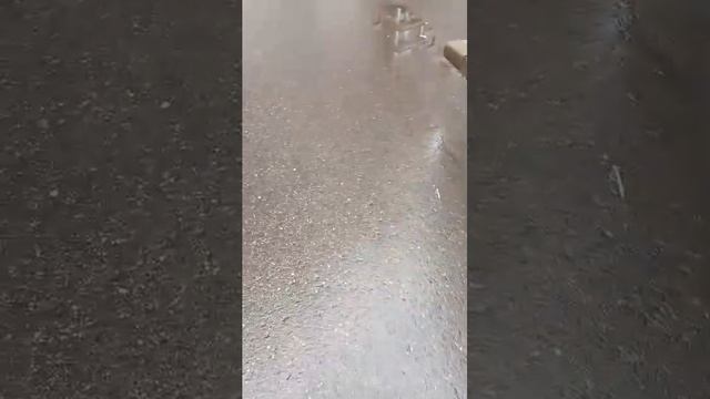стрим смотреть онлайн