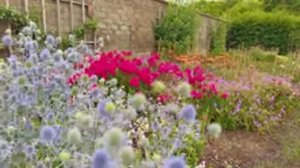 САДЫ БРИТАНИИ В ИСТОРИЧЕСКОМ ОВОЩНОМ САДУ ДВОРЦА ХЭМПТОН-КОРТА   Часть 2