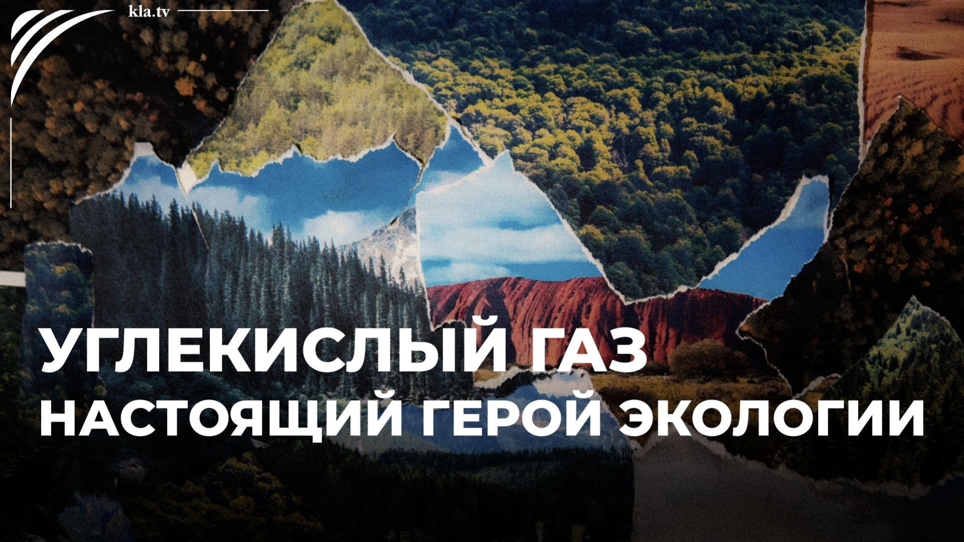 Углекислый газ: настоящий герой экологии_ kla.tv/39561 /2025-11-27