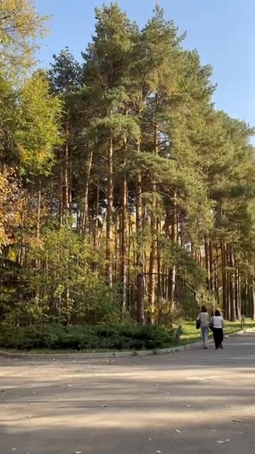 Алматы Ботанический сад Осень смотреть онлайн