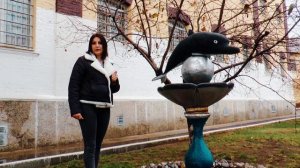 НОКС-ТВ д\ф «Черный дельфин»