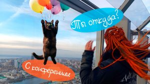 Конференция на Авито "Море трафика" и котики в Екатеринбурге. Один день из жизни Авитолога