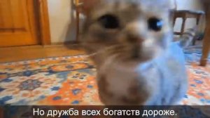 5-топ песен а-ну-ка-давай-ки