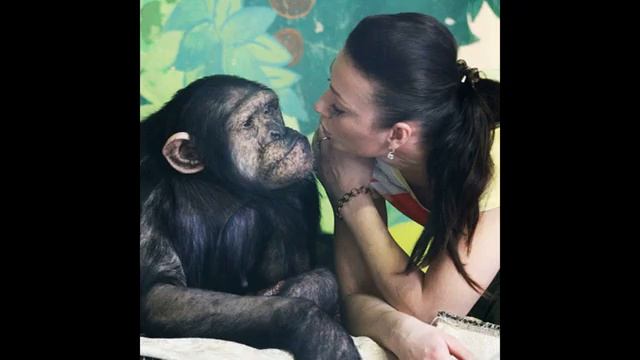 Люди-обезьяны из Алма-Аты смотреть онлайн