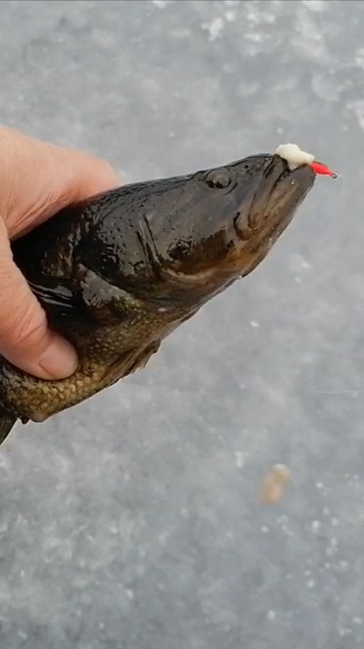 Первый лед. Ротан смотреть онлайн