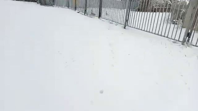 Деревни Северного Казахстана 2019: Белое