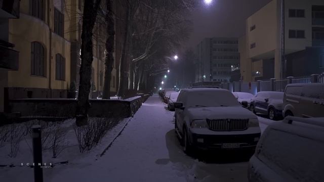 Hours Of Pure Heavy Snowfall Night Walks