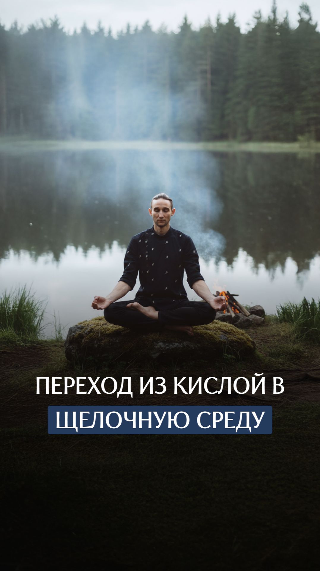 Переход из кислой в щелочную среду смотреть онлайн