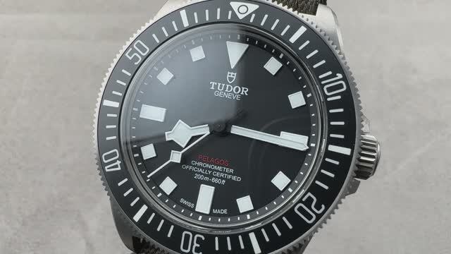 Tudor Pelagos FXD US Navy 25717N