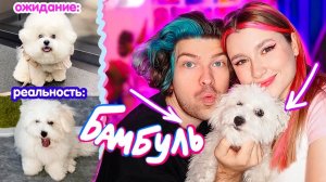 Мы Завели СОБАКУ