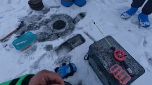 Рыбалка на жерлицы по первому льду. Бурейское водохранилище. 21 ноября 2025.