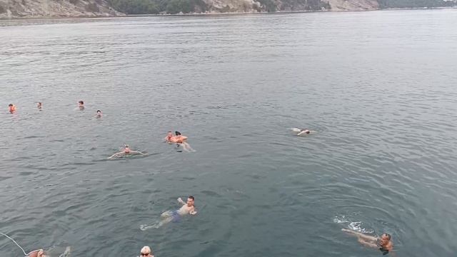 ПРИГЛАШАЮ ВАС НЕМНОГО ПО МОРЮ. МИМО ПИЦУНДЫ. НА ОСТРОВА ПЛЫВЁТ НАШ КОРАБЛЬ. КУПАТЬСЯ НЕ РЕШИЛАСЬ... смотреть онлайн