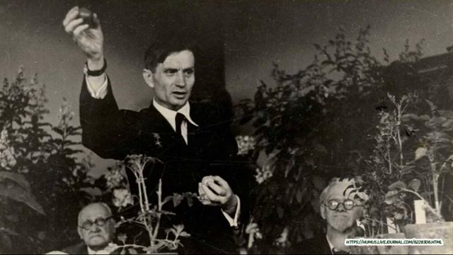 Алматинский Ботанический сад смотреть онлайн