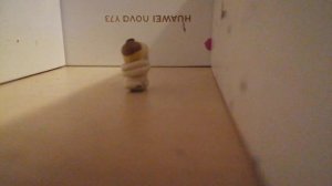 Skibidi toilet 1 серия