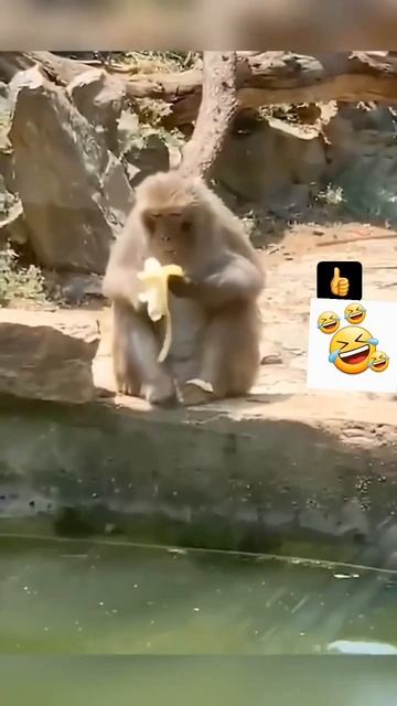 нарезка со стрима 1 смотреть онлайн