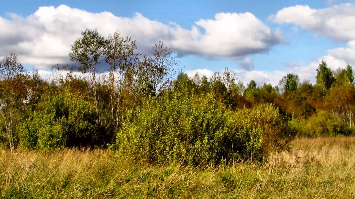 По доржке смотреть онлайн