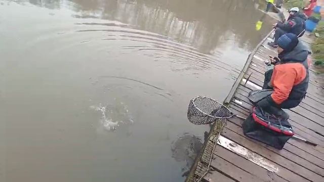 Аркадий в деле смотреть онлайн