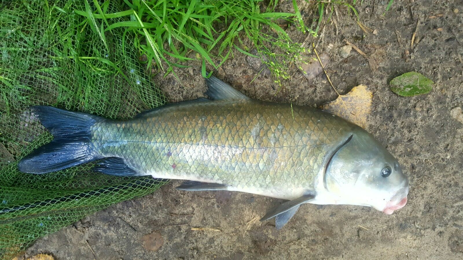 РР4 Ахтуба (2 сезон, 3 серия) смотреть онлайн