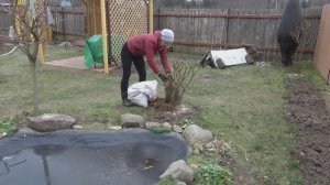 6 соток 20 ноября 2025 года. 2 часть.