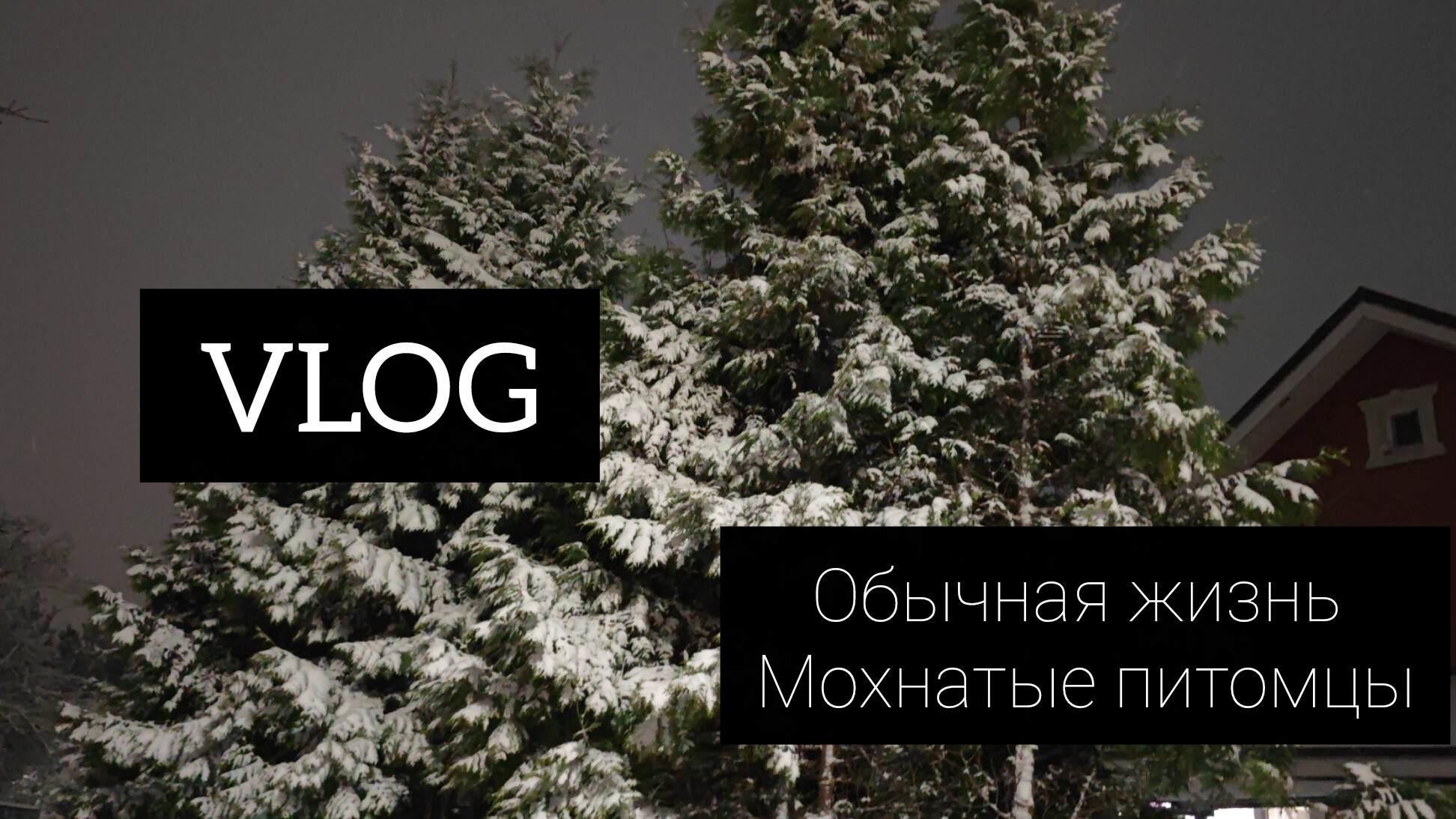 Vlog обычные будни смотреть онлайн