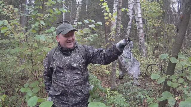 ОХОТА НА РЯБЧИКА В ОКТЯБРЕ. КАК МАНИТЬ РЯБЧИКА? ДЕНЬ ОХОТЫ НА РЯБЧИКА. смотреть онлайн