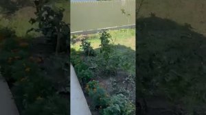 Дом 120.4 м² на участке 5.7 сот