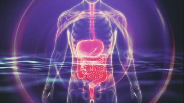 ЛЕЧЕНИЕ ЖЕЛУДКА, ТОЛСТОЙ КИШКИ И РАССТРОЙСТВА ПИЩЕВАРЕНИЯ - Облегчение запора ,бинауральные ритмы смотреть онлайн