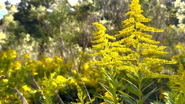 Перед сном Библейские стихи, которые приносят вдохновение и веру . Библия. смотреть онлайн