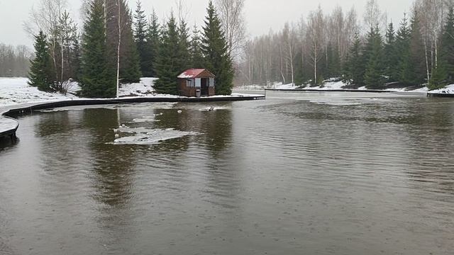Основной водоём. смотреть онлайн