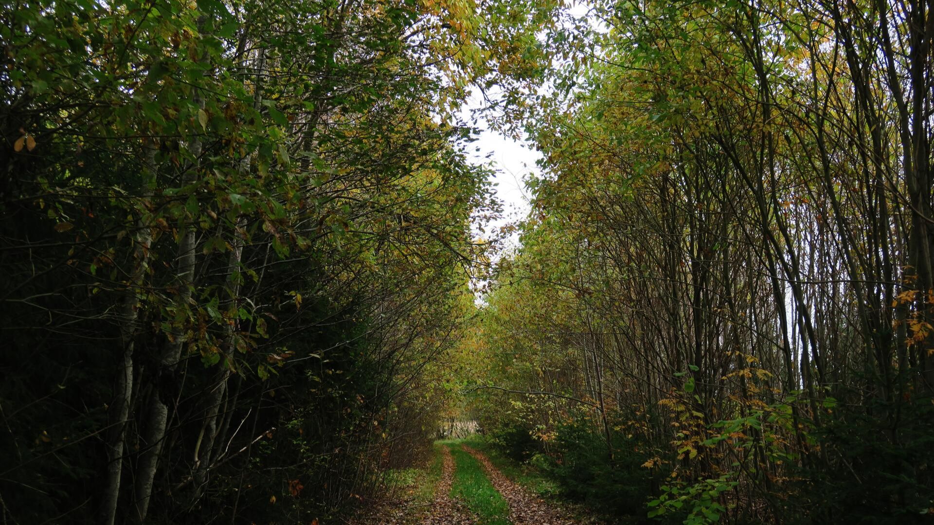 Рождество - Ты знаешь,так хочется жить смотреть онлайн