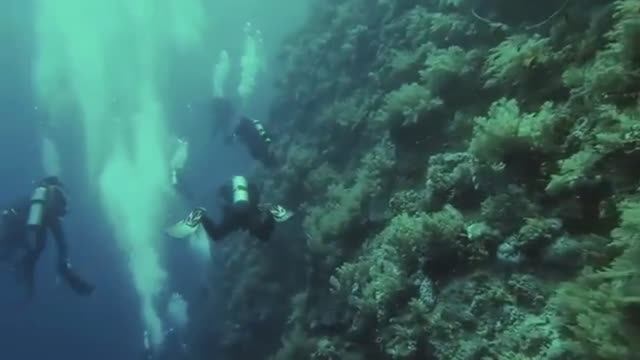 ВОДОЛАЗ смотреть онлайн