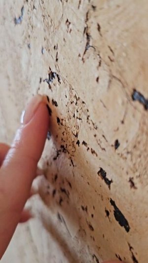 Дом с бассейном, сауной, бильярдной, зоной барбекю, беседкой и всеми радостями жизни!