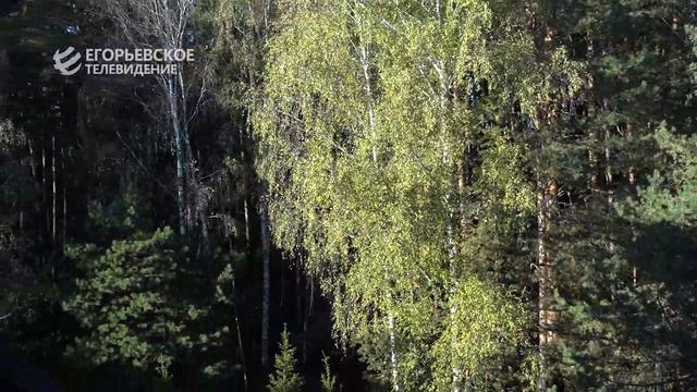 Новый выпуск программы "Деловой Егорьевск" от 27.11.25 смотреть онлайн