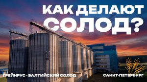 Как производится солод в России? Экскурсия по солодовне Грейнрус!