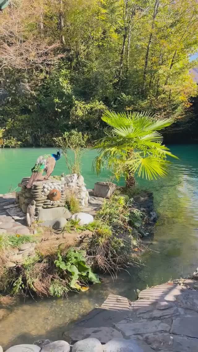 Абхазия, Голубое озеро (конец ноября, ОСЕНЬ-2025) смотреть онлайн