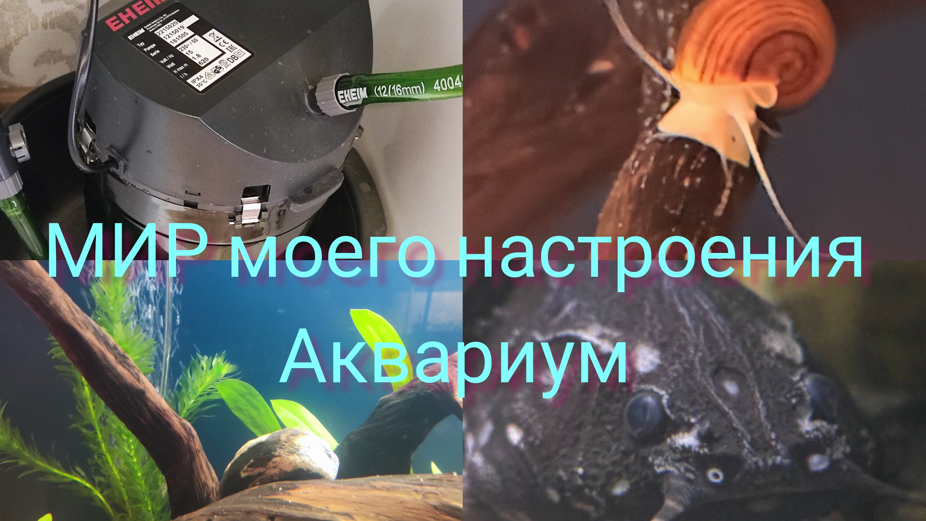 24.11.25 Аквариум,часть 4.Подготовка внешнего фильтра, полезные бактерии.Запускаю сомов. смотреть онлайн