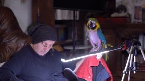 Бхарати Махарадж - Шримад Бхагаватам 3.5 (2)