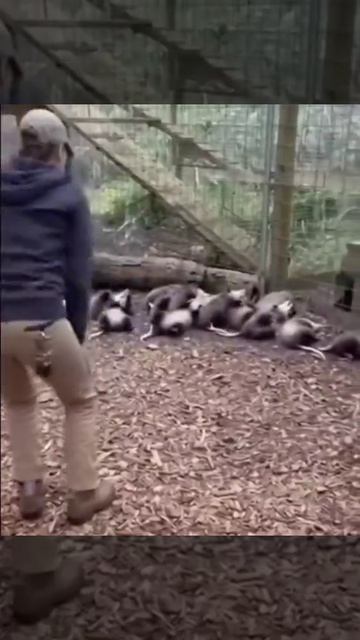 🤭🤭🤭 смотреть онлайн