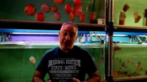 Второму чемпионату по дискусам "Дискус 2026" быть.