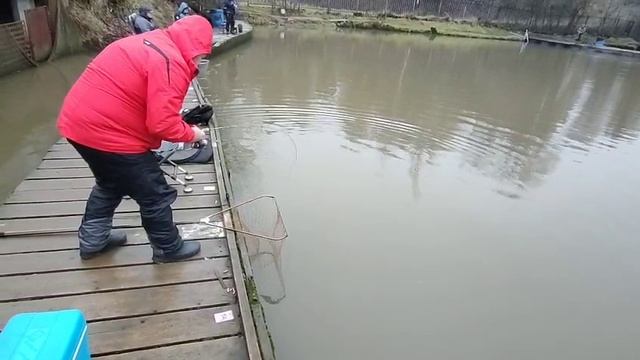 Спорт зона смотреть онлайн