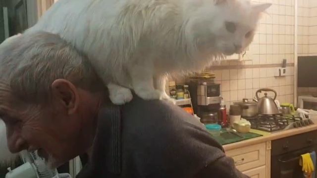 Леся и Сёма - "Кошка - забияка" смотреть онлайн