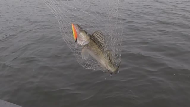 Осень 2025! (18) - Зима не торопится (1)!