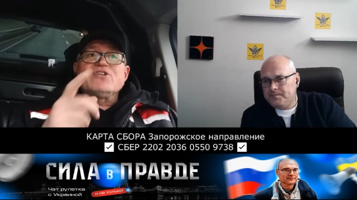 БОЕВЫЕ ГУСИ