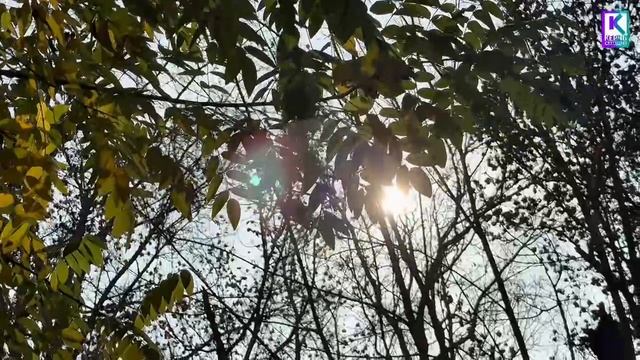 "Летучие бригады" продолжают поддерживать порядок на межквартальных территориях города смотреть онлайн